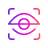 Computer Vision Development 
